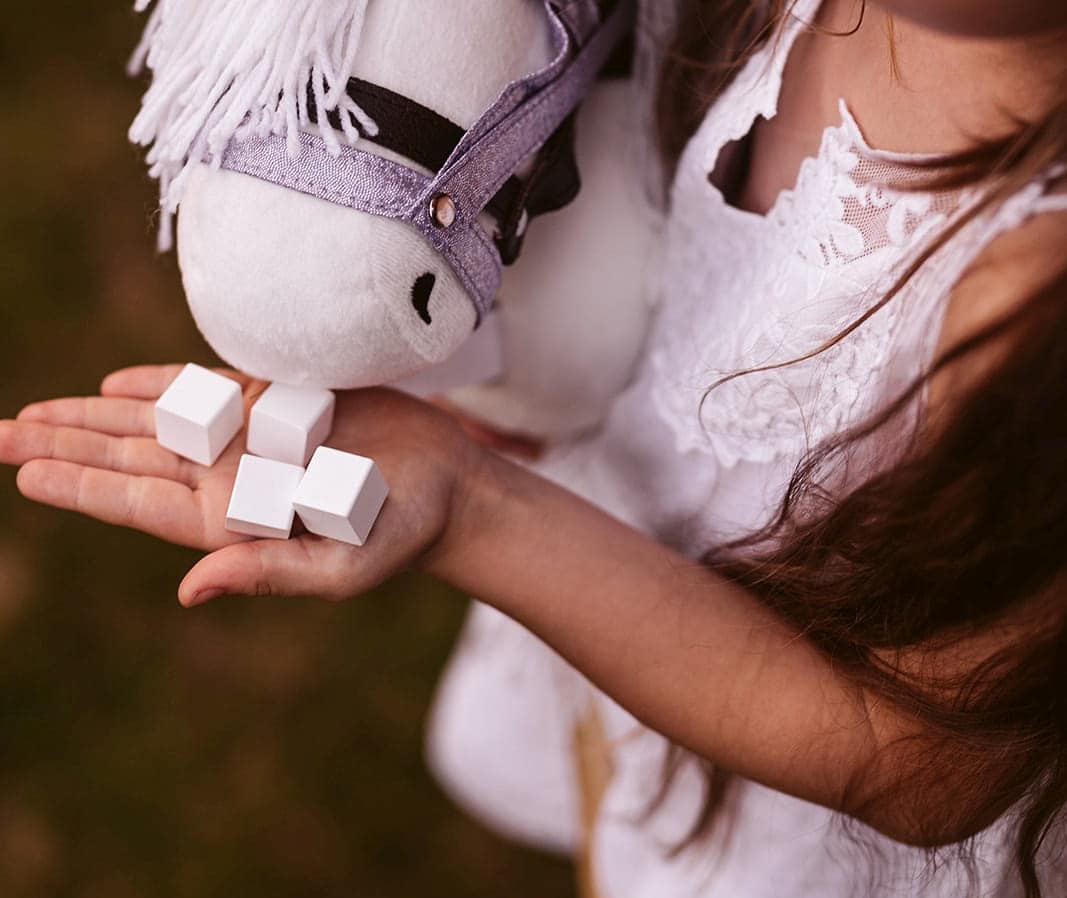 Zestaw do karmienia konia na kiju białe kostki dla dziecka do zabawy z koniem na patyku. byAstrup Zestaw do karmienia konia na kiju Hobby Horse