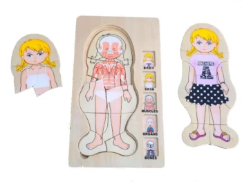 Drewniane puzzle edukacyjne 5 warstw dziewczynka warstwy ciała dla dzieci. MamaMemo Puzzle 5 warstwowe dziewczynka