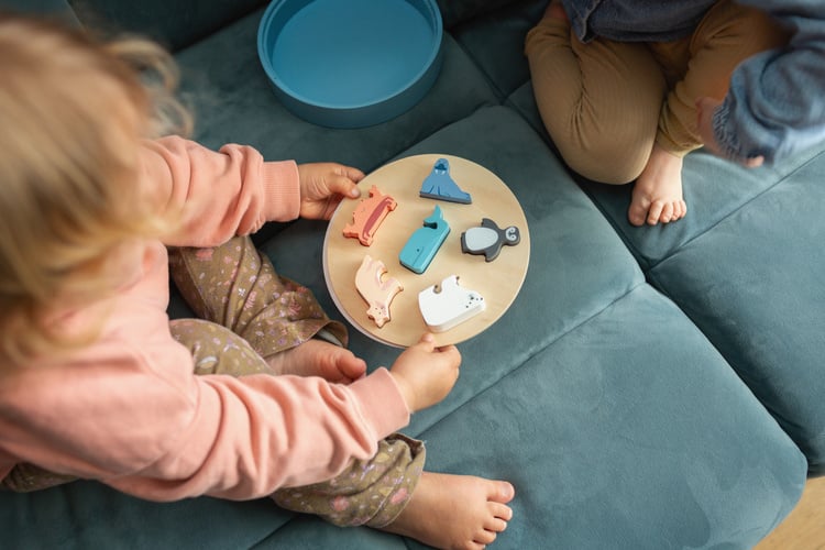 Drewniany sorter zwierzęta arktyki z kolorowymi figurkami dla dziecka. BS Toys Drewniany sorter Zwierzęta Arktyki