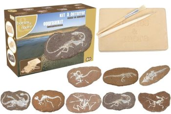 Zestaw do wykopalisk z kamieniami z nadrukiem szkieletów dinozaurów dla małego odkrywcy. Navir Duży Szkielet Dinozaura Wykopalisko Na Kamieniu Bones More