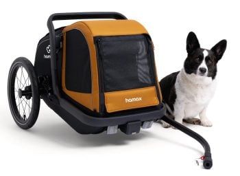 Przyczepka rowerowa dla psa w kolorze pomarańczowo-czarnym z siatkowym oknem i psem obok. Hamax przyczepka rowerowa dla psa Milou S spice/black