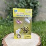 Zestaw figurek przedstawiających cykl życia mrówki na tle trawy dla dzieci. Insect Lore Cykl Życia Mrówki Zestaw Figurek