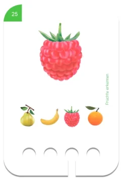Karta do nauki rozpoznawania owoców z obrazkiem maliny i mniejszymi ilustracjami gruszki banana truskawki i pomarańczy dla dzieci 2+. Kölner Lernspiele Rozpoznawanie Owoców Karty WiemTo dla dzieci 2+