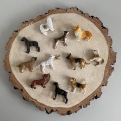 Zestaw figurek psów różnych ras i kolorów na drewnianej podstawce dla dzieci. Safari Ltd Psy Zestaw Figurek w Tubie