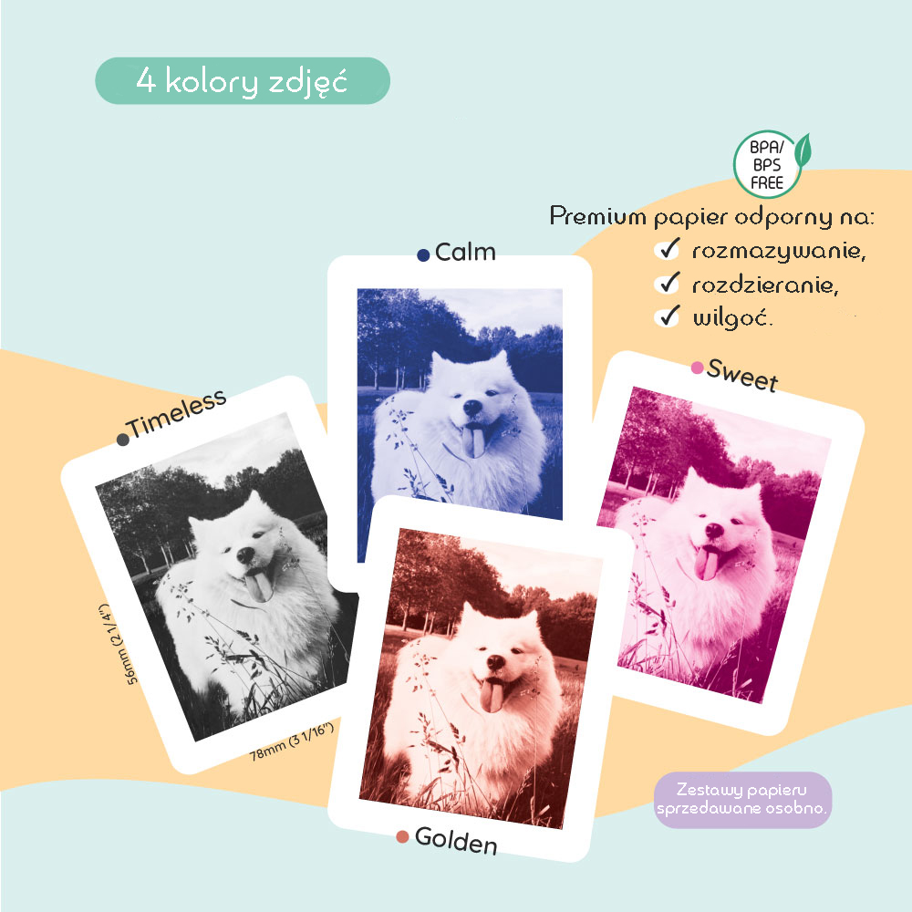 Cztery zdjęcia psa w różnych kolorach filtrów czarno-biały niebieski różowy pomarańczowy. Kiimento Aparat Natychmiastowy Print Pro z Drukarką Kubuś Puchatek Disney